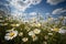 Flowering meadow, daisies under the sun. Bees buzzing., generative IA