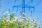 Flowering meadow with summer flowers  and grass against electricity pylons  and blue sky. Selective focus