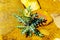 Flowering Nettle Plant on the dry river bed of the Olifants River in Kruger National Park