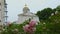 Flowering peony bush in Kiev Pechersk Lavra