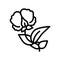 flowering plant peas line icon vector illustration