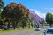 Flowering pohutukawa and jacaranda trees in Tauranga, New Zealand