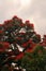 FLOWERING RED FLAMBOYANT TREE AGAINST CLOUDS