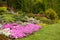 Flowering rock garden in spring. Different bushes and flowers bl