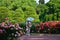 Flowering rose garden and kimono women, Japan.