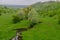 Flowering trees on the hillsides and the formation of a ravine. Soil erosion