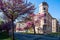 Flowering trees in a public park  and old architecture in Turin Piedmont, Italy