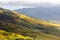 Flowering valley Ngorongoro Crater