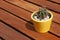 A flowerpot with cactus on the wooden picnic table