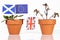 Flowerpot with different flags, concept impacts of the brexit