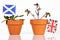 Flowerpot with different flags, concept impacts of the brexit