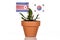 Flowerpot with the flags of south korea and north korea