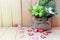 Flowerpot with hearts on wood table,Valentine`s day background.