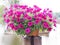 Flowerpot pink petunia flowers