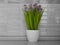 Flowerpot with plant kitchen interior spring   leaves home color