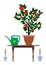Flowerpot in pot watering can and instrument for gardening