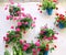 Flowerpots with geranium