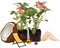 Flowerpots with growing pink flowers with 3D renderings of coconut and female legs