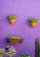 Flowerpots hanging on a violet wall, green flower composition