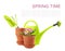 Flowerpots with plant and gardening equipment on white background