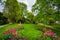 Flowers at Academy Park, in Albany, New York