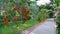 Flowers adorned with bridal path