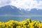 Flowers against mountains and lake Geneva from the Embankment in Montreux