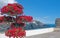 Flowers along a port below a blue sky