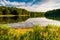 Flowers along the shore of Lake Marburg in Codorus State Park, P