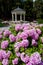 Flowers on arbour background