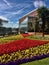 Flowers Architecture and the clouds