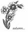 Flowers autumn pattern graphic black and white
