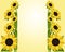 Flowers Background with Borders of Sunflower with Place for your information