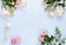 Flowers background. Pink flowers roses and ranunkulus and macaroni cakes on pale blue background.