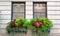 Flowers and balconies in New York City, architecture, details