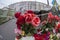 Flowers on barricades.