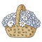 Flowers in a basket. Hand drawn colorful sticker doodle