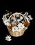 Flowers basket isolated w/cat