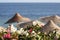 Flowers, beach umbrellas and sea, Egypt