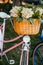 Flowers in a bicycle basket