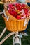 Flowers in a bicycle basket