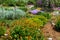 Flowers in Bloom in Yampa River Botanical Gardens