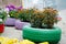 Flowers blooming in pots made of multicolored car tires on a esplanade near sea