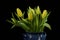 flowers in a blue ceramic vase on a dark surface with no reflection