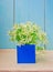 Flowers and blue message paper