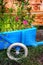 Flowers in a blue wooden wheelbarrow