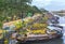 Flowers boats at flower market on along canal wharf