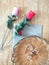 Flowers, book and bamboo woven plate on wood background