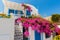 Flowers bougainvillea in Fira town - Santorini ,Crete,Greece.