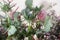 Flowers bouquet with Eryngium alpinum, alpine sea holly flower